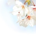 おさけ