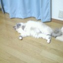 お久しぶりです♪・・・