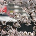 涙