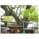 京阪沿線の思い出・・・