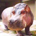 アクセス解析