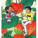 この物語の男の子は性格に難有り・・