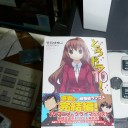 とらドラ　10巻　（最終巻）