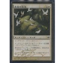 ＰＴ京都参加レポ　～ドラフト＆バイヤー＆サイン会編～