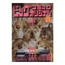 今回の高橋作品は面白かったな・・