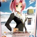 野生の雑種犬収録決定