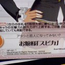 野生の雑種犬収録決定