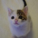 ボロボロ