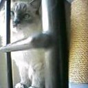 あ～このままでは・・・