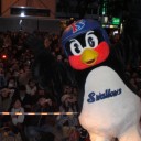 歩くツバメと2ショット！！？