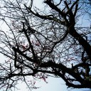 Photo14:[決意]