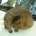 すぎてゆく。