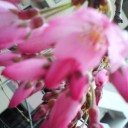 季節の到来