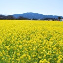 ゆるい３連休　　the blurred　pourpose