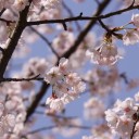 そうか、下山途中なんだ