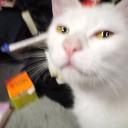 朝は、直行しました。