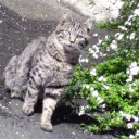 困ったぞ、