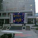 春ですね。