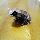 3月25日の日記