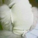 ドキドキしながら・・・　　　　　　　　