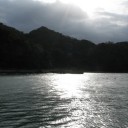 陽光差す