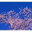 3月28日の日記