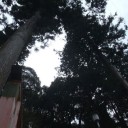 伏見稲荷の最深部まで行ってきたよ 御膳谷奉拝所