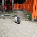 伏見稲荷の最深部まで行ってきたよ 下社～四つ辻～三つ辻～新池