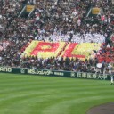 9回ノーノー、でも勝てず＠甲子園。