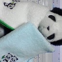 三月中に三しゃぶしゃぶ。