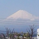 は~るよ　こい！