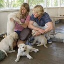 マーリー  世界一おバカな犬が教えてくれたこと