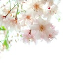 はじめて
