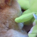 ガブガブがぶ