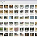 北北東に進路を取れ　“３人の春休み２００９終了のお知らせ”　の巻