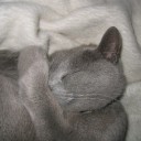 猛烈な違和感のある眺め　“走るお花畑26号”　の巻