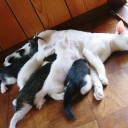 昼間は温かったです。