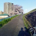 ランディありがとう