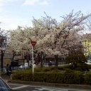 トンボ玉　お教室見学　Ⅱ