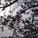 起きよう。