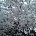 あと一日・・・