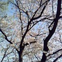 その都度その都度