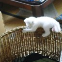 今日は本当に、春でした。
