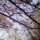[etc]　今日も