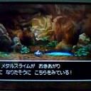DQ5　狩り