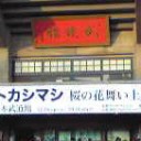 桜の花舞い上がる武道館