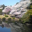 新宿御苑