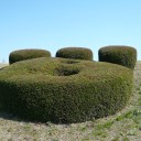 気を付け様