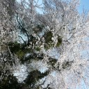 気を付け様