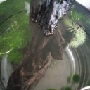 水槽リセット２